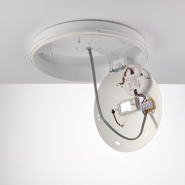 Saxby HeroPRO XL CCT Tri Wattage Bulkhead