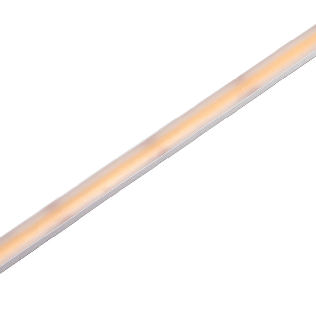 OrionPRO Neon Flex 24V | 3000K 10W/M 5M IP67