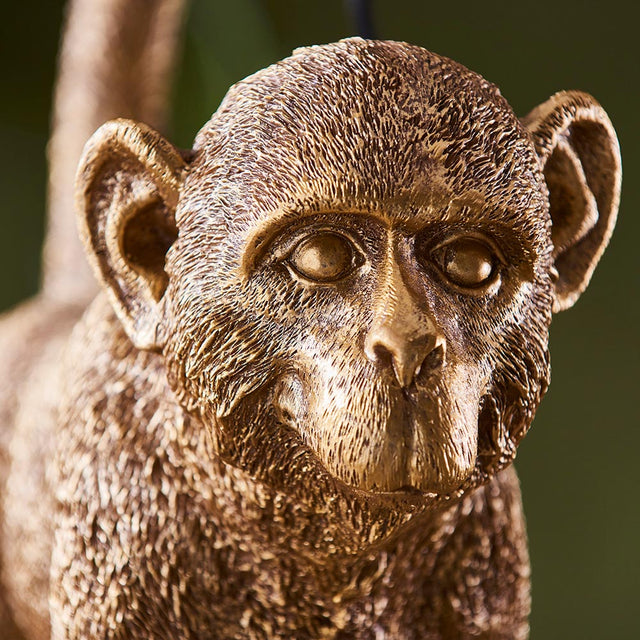 Capuchin Table