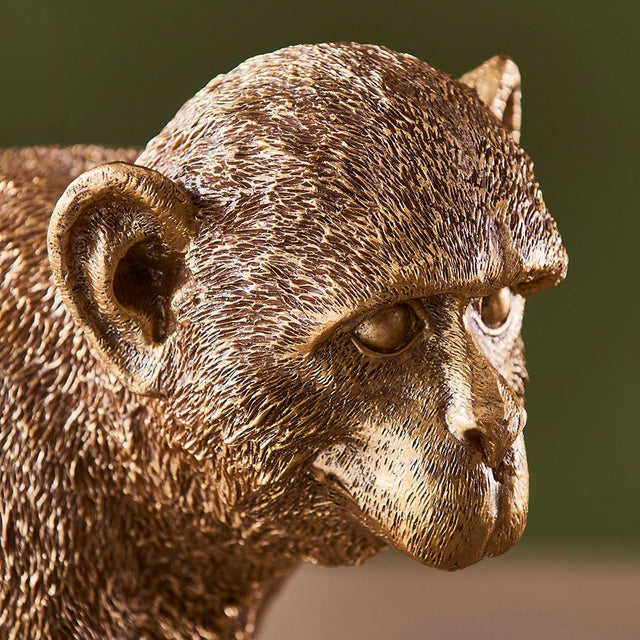 Capuchin Table
