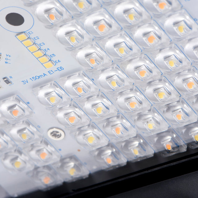 Forge CCT Wall Pack 8W/14W