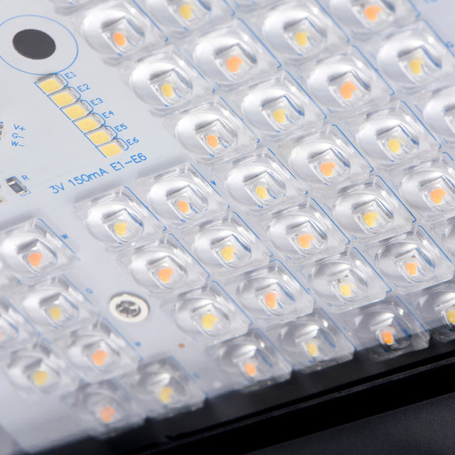 Forge CCT Photocell Wall Pack 8W/14W