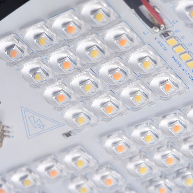 Forge XL CCT Wall Pack 16W/20W/24W