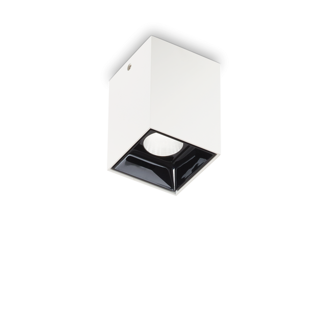 NITRO PL SQUARE D05 WHITE