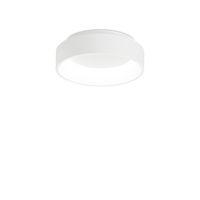 ZIGGY PL D030 WHITE