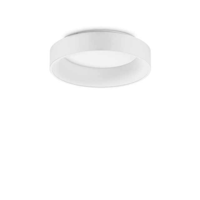 ZIGGY PL D045 WHITE