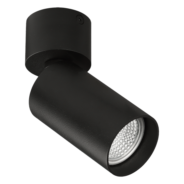 Zoom Spotlight