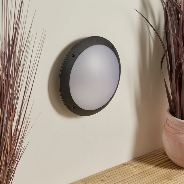 Seran plain IP65 12W daylight white