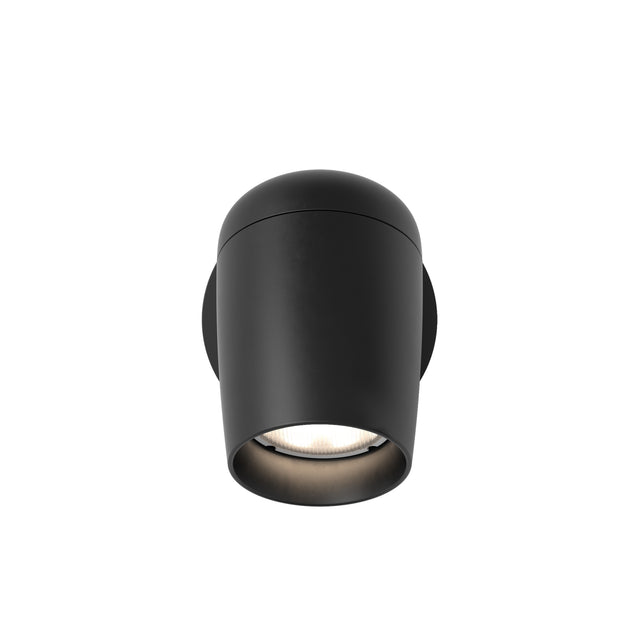 Koto Single Switched