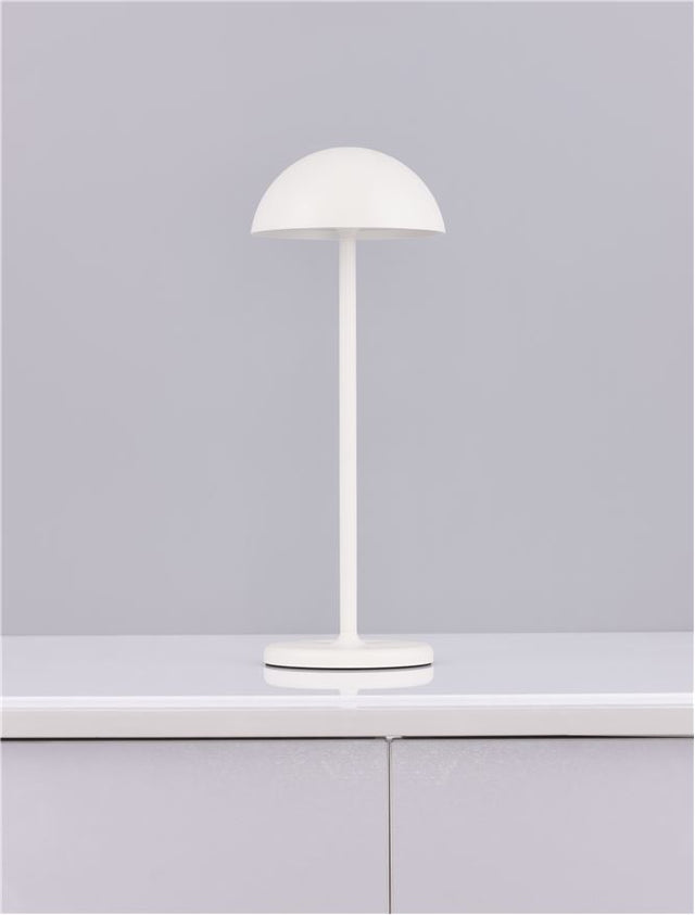ROSE White Aluminium & Acrylic LED 1 Watt 207Lm 3000K DC 5 Volt IP54 Switch On/Off / USB Wire D: 11.5 W: 11.8 H: 32 cm