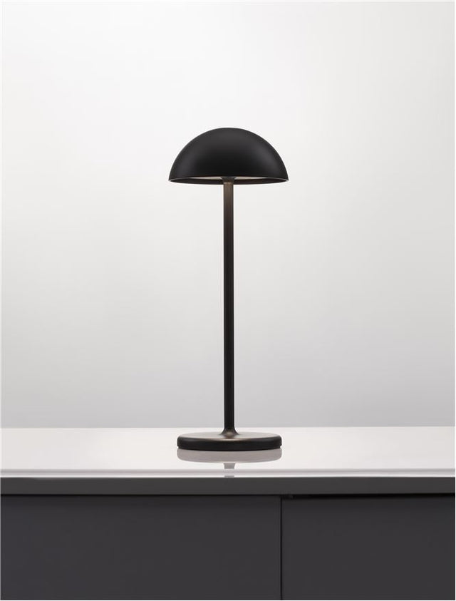 ROSE Black Aluminium & Acrylic LED 1 Watt 207Lm 3000K DC 5 Volt IP54 Switch On/Off / USB Wire D: 11.5 W: 11.8 H: 32 cm