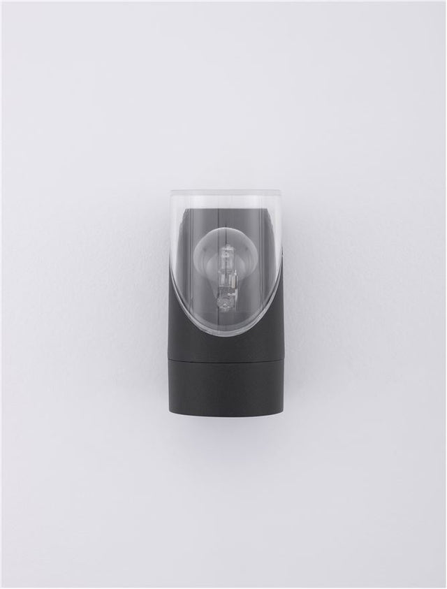 SELENA Anthracite Die-Casting Aluminum & Clear Acrylic LED E27 1x12 Watt 220-240 Volt Bulb Excluded IP65 D: 9 W: 10.1 H: 17.1 cm