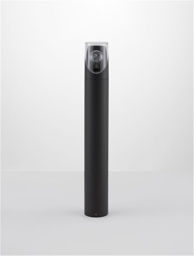 SELENA Anthracite Die-Casting Aluminum & Clear Acrylic LED E27 1x12 Watt 220-240 Volt Bulb Excluded IP65 D: 9 H: 65 cm