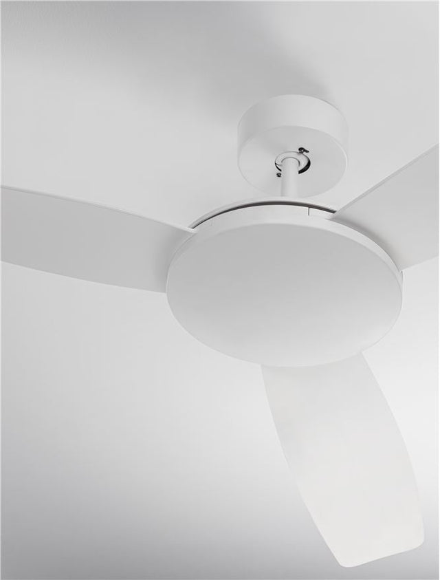 BLAIRE Fan White Aluminium White ABS D: 132 cm H: 43 cm 6 Speed Remote, 54’’ Blade DC 38W,AC220-240V 5250CFM 220RPM,4.7Kg Summer/Winter Function,Remote Control,2 Years Light & control 10 Years motor, Class I