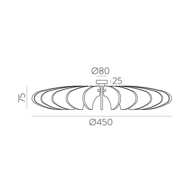 Rosa Del Desierto Wall Lamp