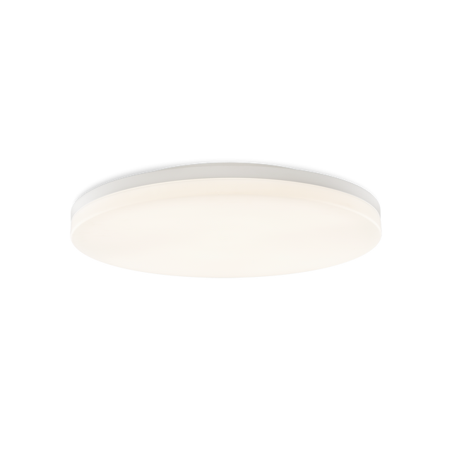 Angus Ceiling lamp