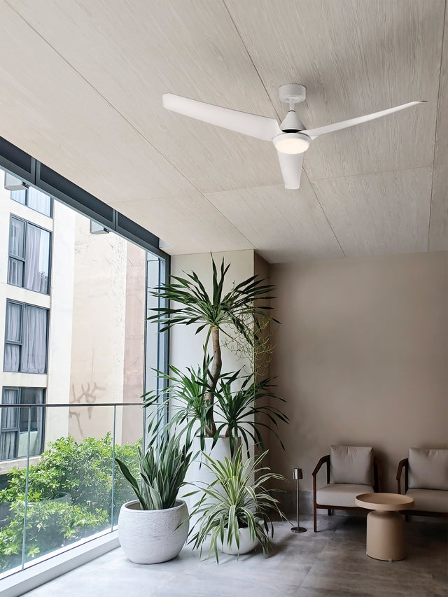 Bora Ceiling Fan