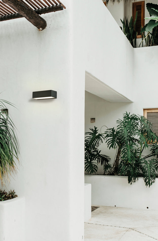 Draco Wall Lamp