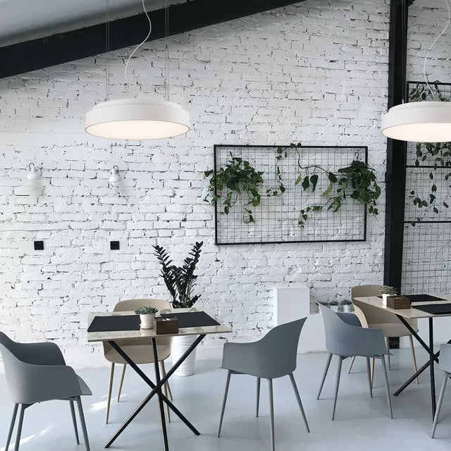 Isia Air Cleaner Pendant lamp