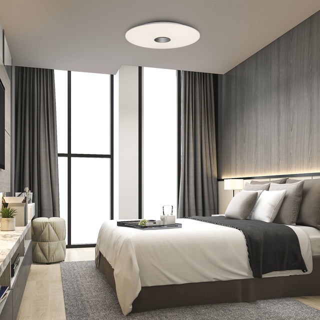 Live Ceiling lamp