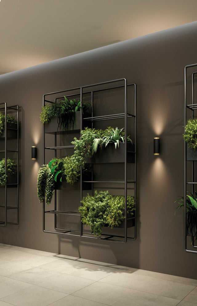 Lux Wall Lamp