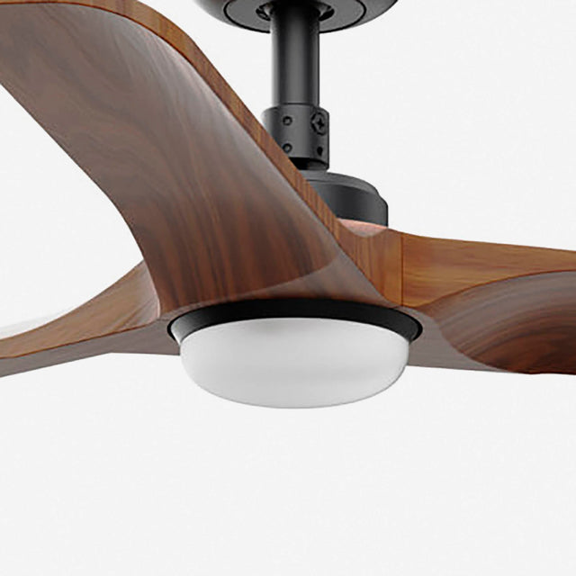 HEYWOOD S LED fan DC