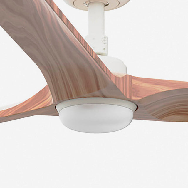 HEYWOOD L LED fan with DC motor