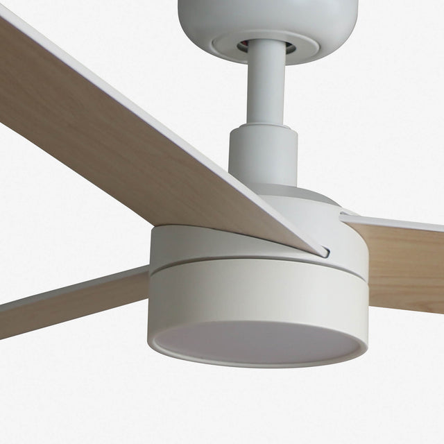 RUDDER S LED fan SMART