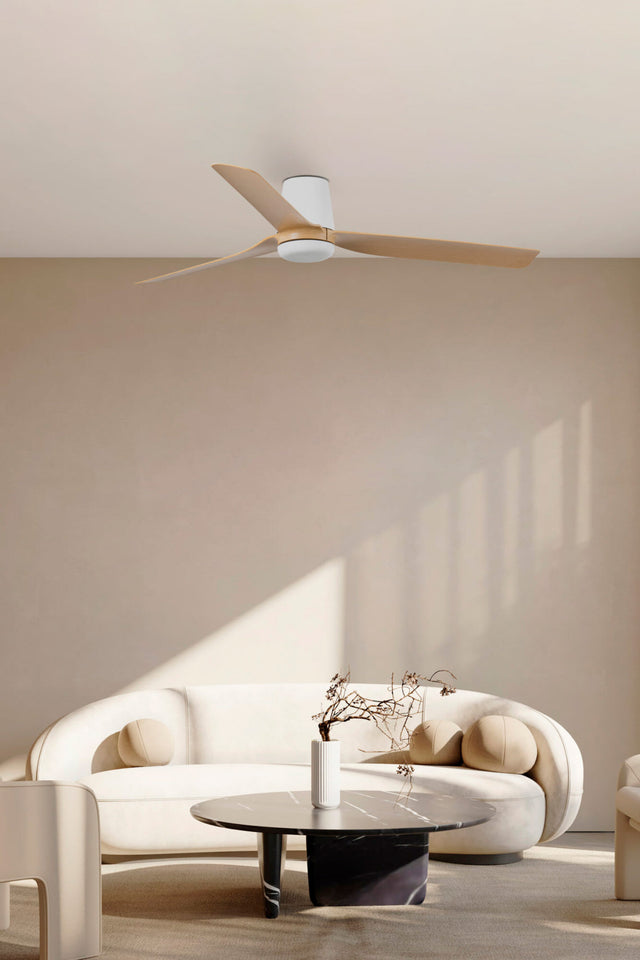PUNT TUB M fan with DC motor