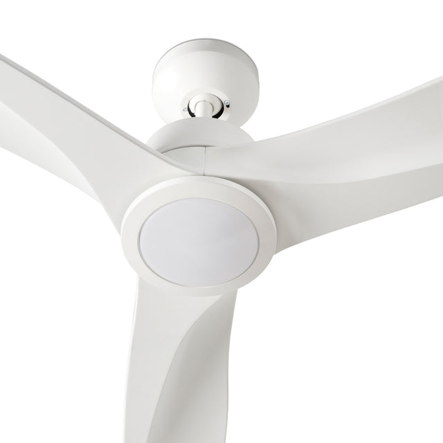 TONIC L LED fan with DC motor