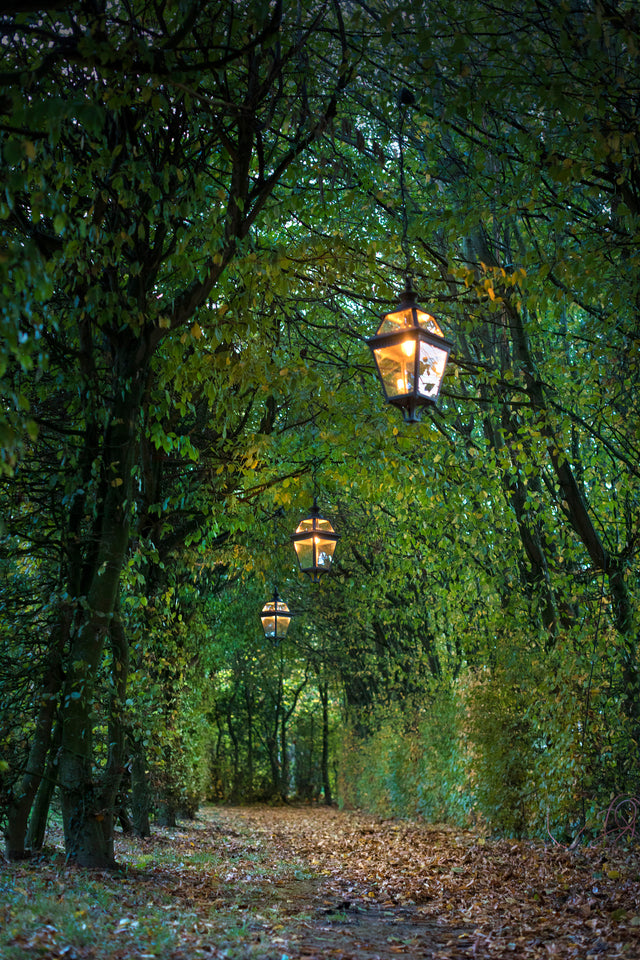 Place des Vosges 3 N° 5 lifestyle