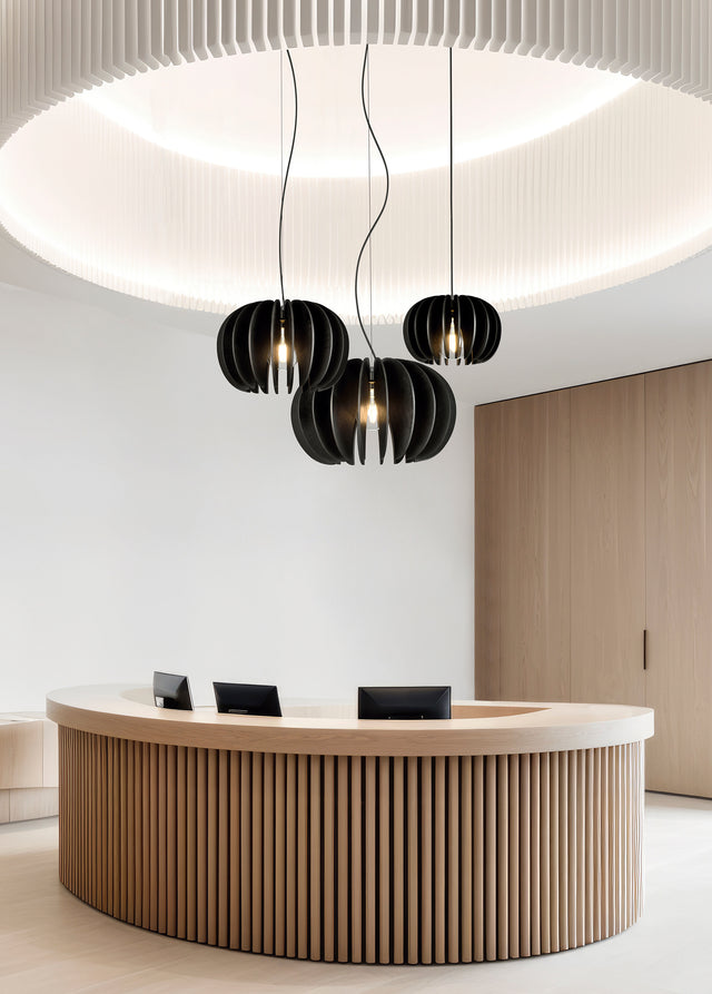 Rosa Del Desierto Pendant lamp