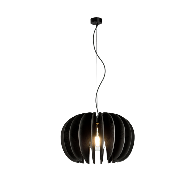 Rosa Del Desierto Pendant lamp