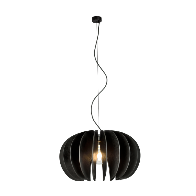 Rosa Del Desierto Pendant lamp