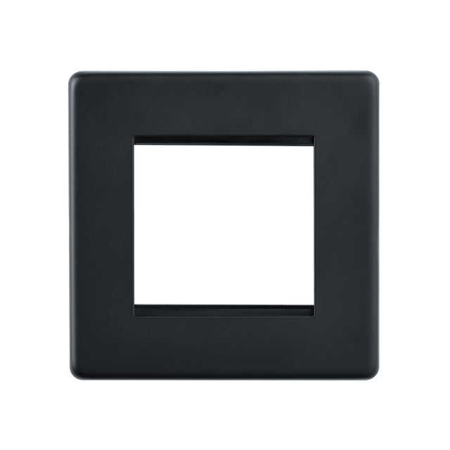 2G Modular Faceplate (2 Modules)