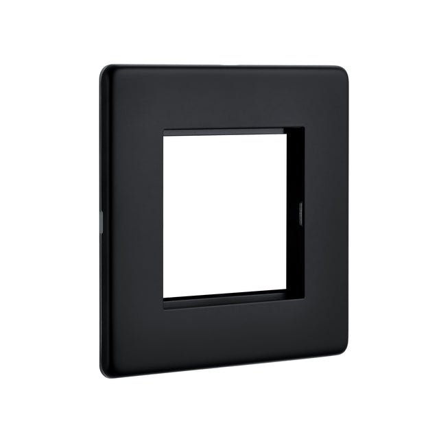 2G Modular Faceplate (2 Modules)