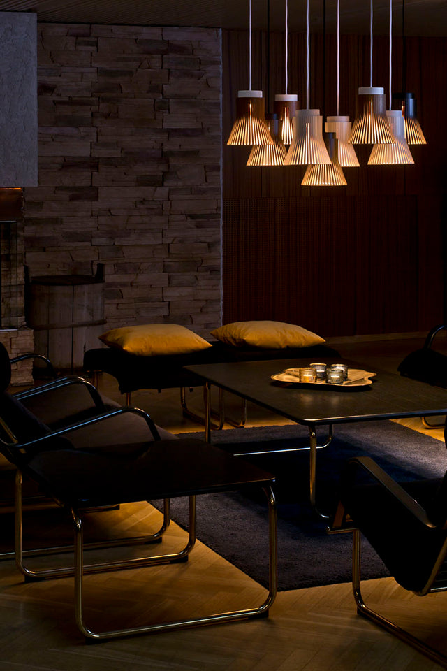 Petite Pendant lamp