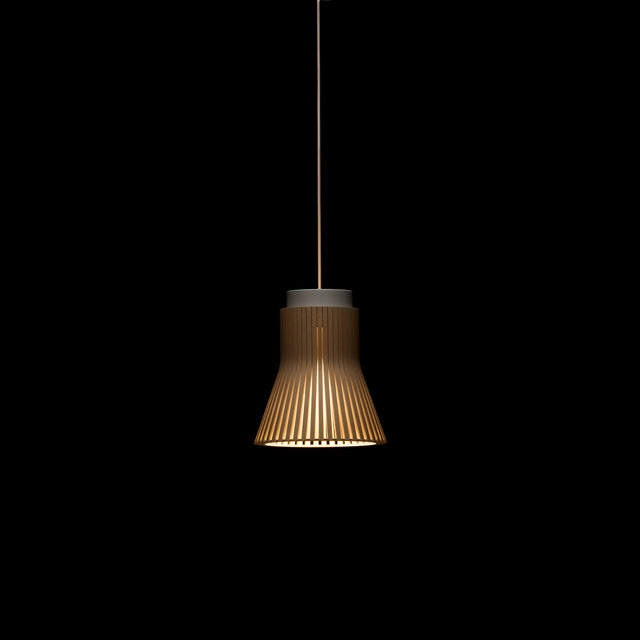 Petite Pendant lamp
