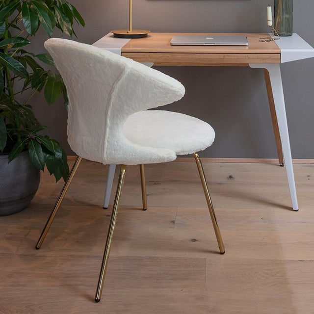 Time Flies | chair, Teddy Bear