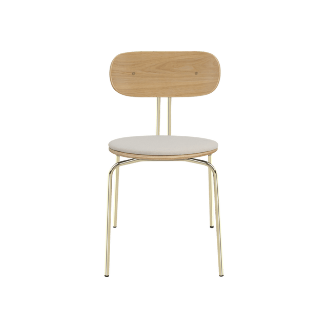 Curious | dining chair