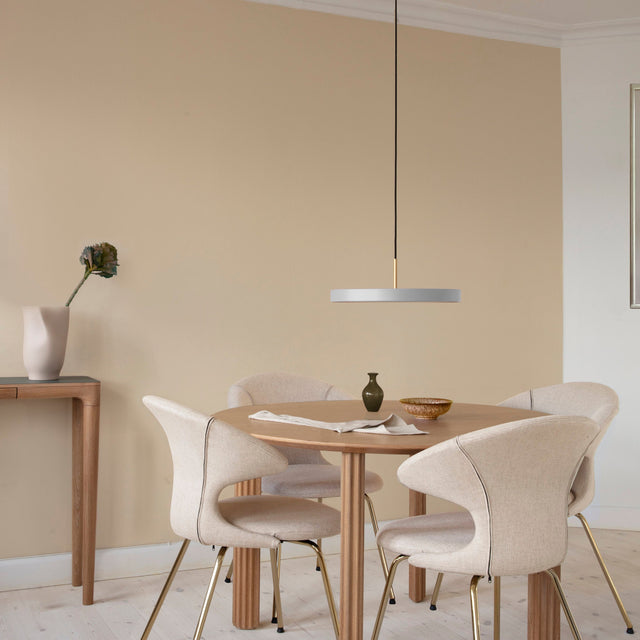 Time Flies | dining chair