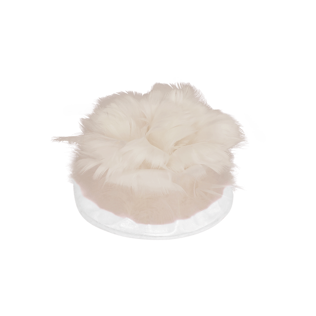 Cover Eos | accessory