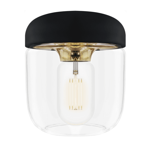 Acorn | pendant lampshade