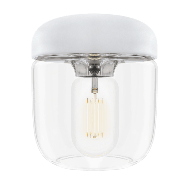 Acorn | pendant lampshade