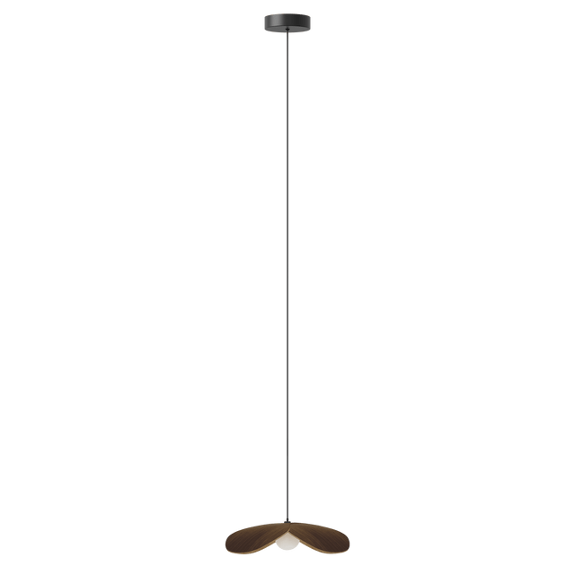 Forget Me Not bundle | pendant lampshade