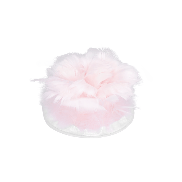 Cover Eos | accessory