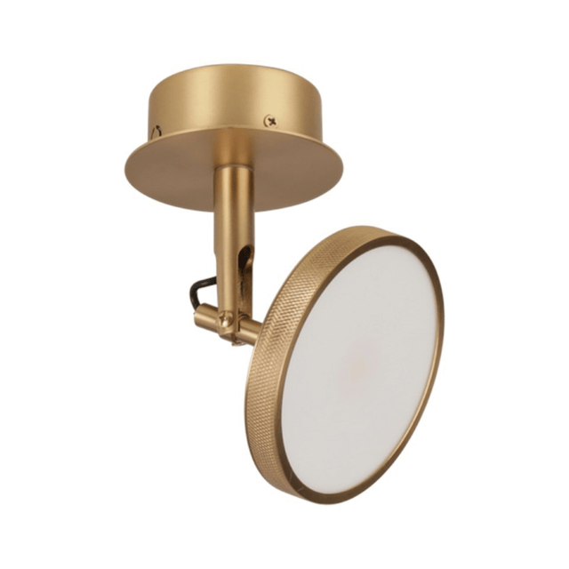 Asteria Spot | wall/ceiling lamp