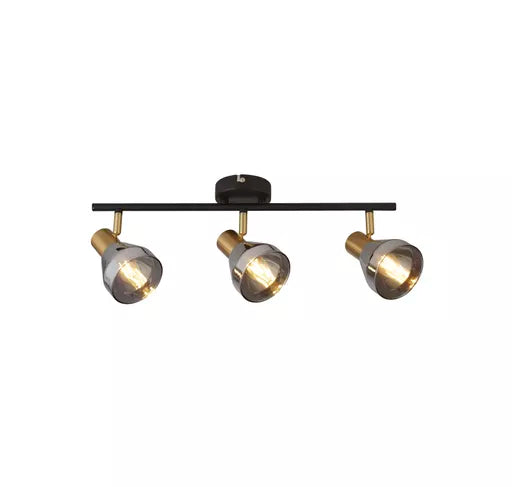 Westminster Spotlight - Black, Satin Brass Metal & Smoked