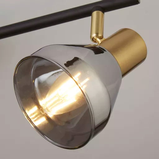Westminster Spotlight - Black, Satin Brass Metal & Smoked
