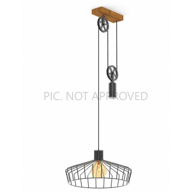 Pendant lamp WINKWORTH